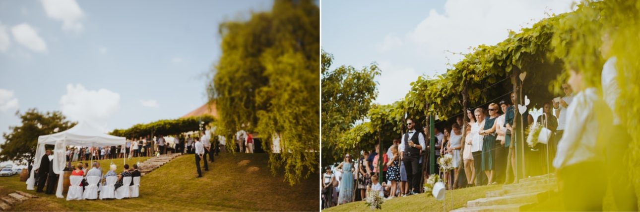 Wedding Photographer Porocni fotograf Ptuj Hotel Primus Peps Wines Zidanica 44