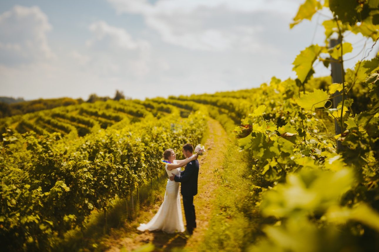 Wedding Photographer Porocni fotograf Ptuj Hotel Primus Peps Wines Zidanica 53