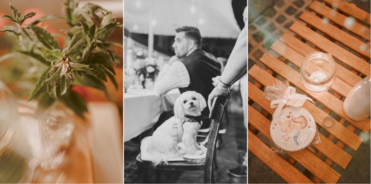 Ljubljana castle Dvor jezersek Wedding Photographer 97