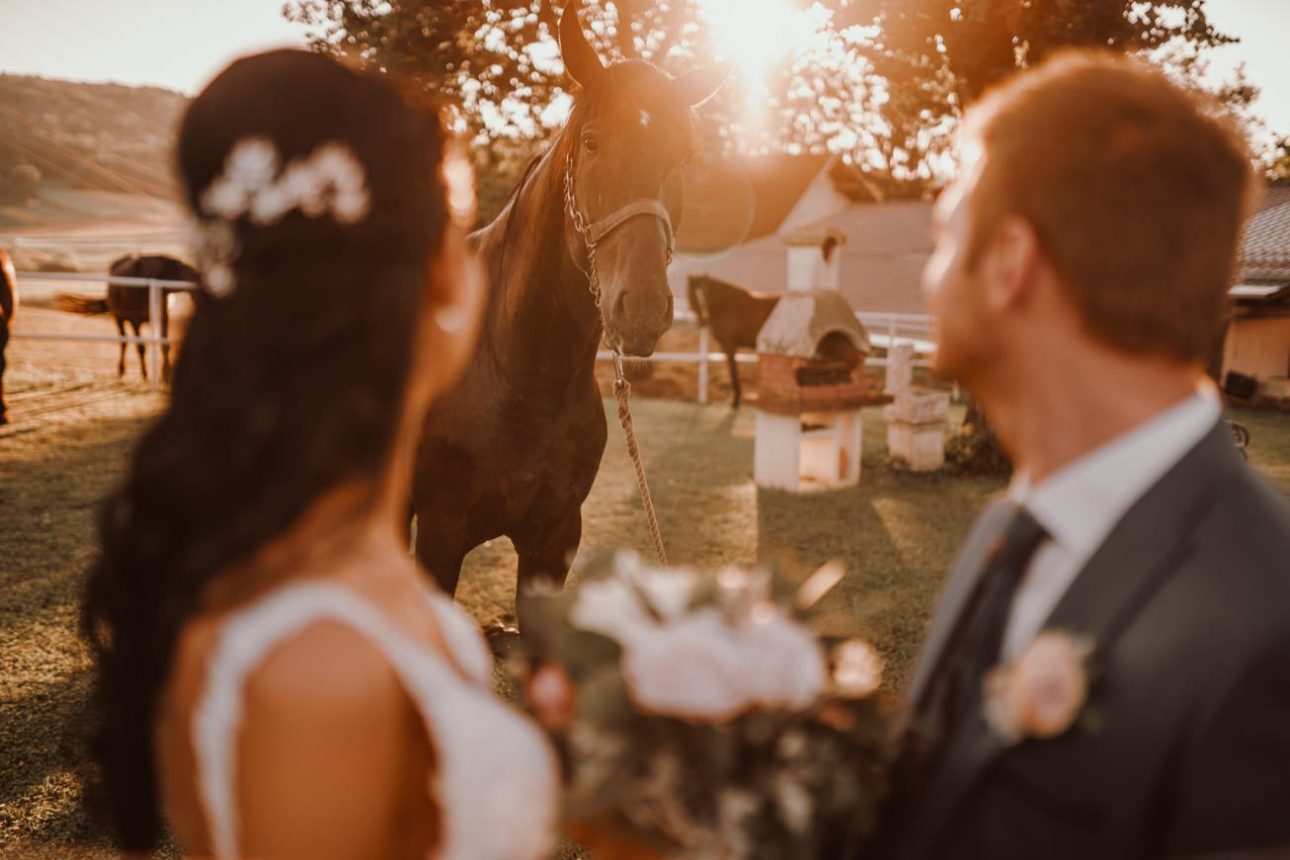Poroka Zagarjev Mlin Novo mesto Porocni fotograf Wedding photographer 117
