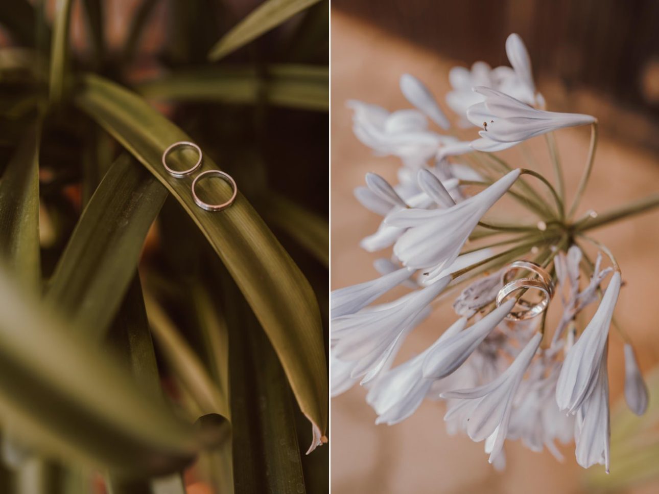 Poroka Zagarjev Mlin Novo mesto Porocni fotograf Wedding photographer 12
