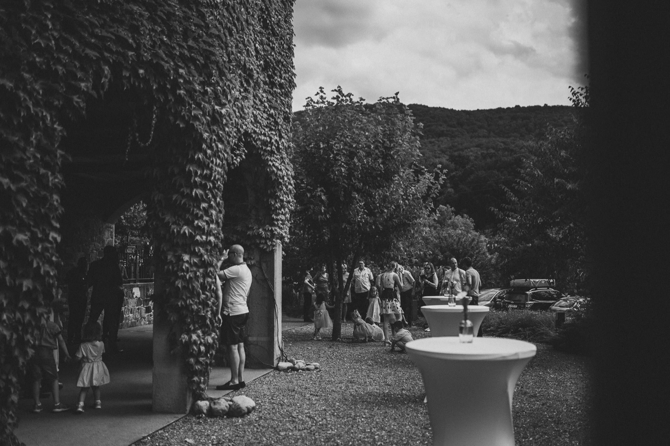 Special sort of house Stanjel Kras Slovenia Poroka Hisa Posebne sorte Tomaz Kos Weddings photographer 22